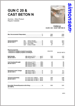 Datasheet GUN C20 & CAST BETON N